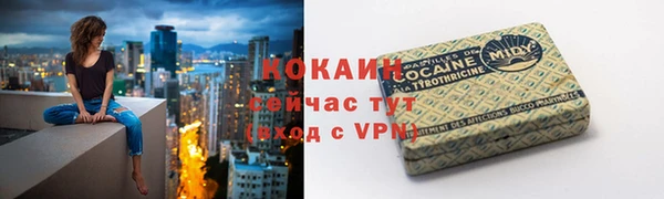 apvp Алексин