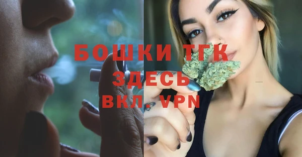 apvp Алексин
