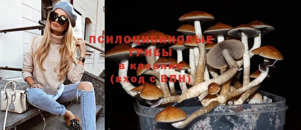 apvp Алексин