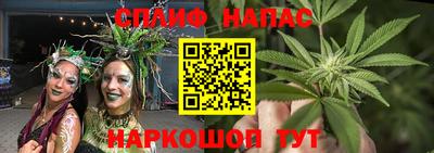 дмт Будённовск