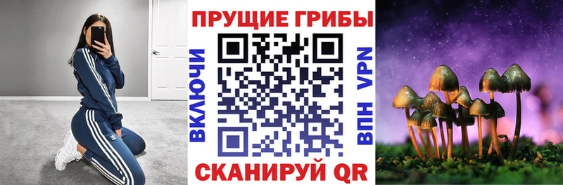 Псилоцибиновые грибы GOLDEN TEACHER  KRAKEN ССЫЛКА  Гуково 