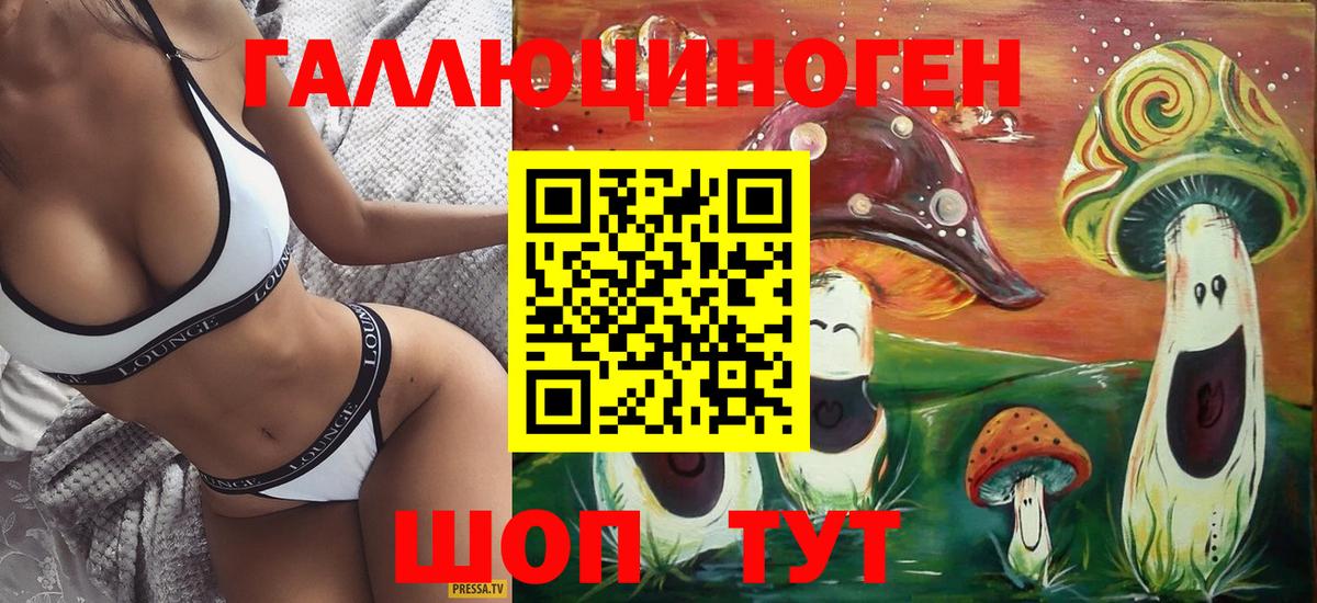 Псилоцибиновые грибы Psilocybine cubensis Гуково