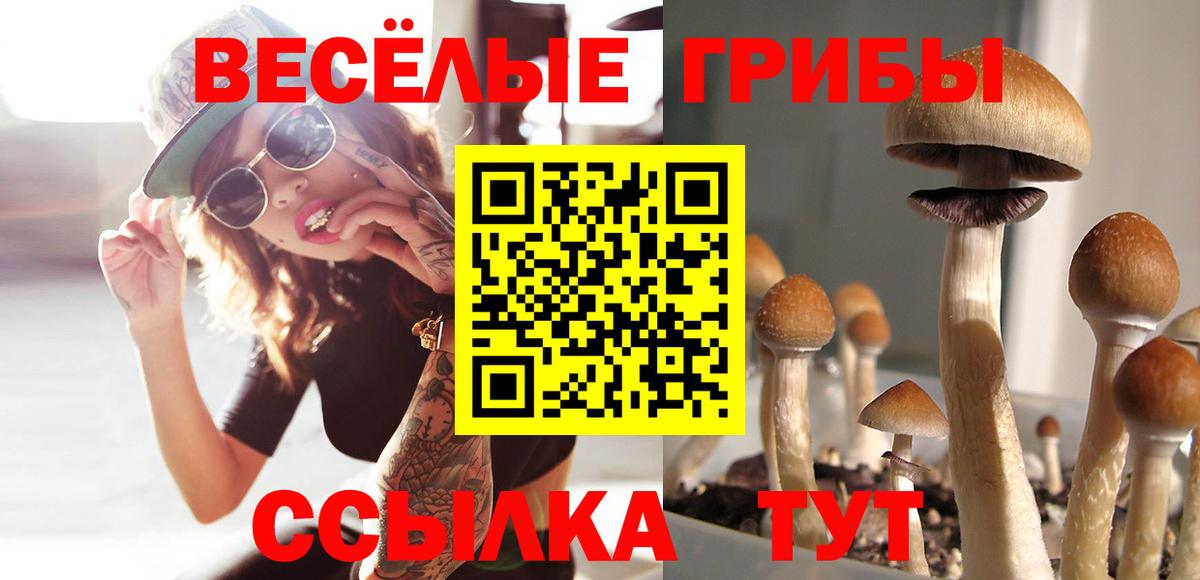 Псилоцибиновые грибы ЛСД  Вход с VPN  Псилоцибиновые грибы MAGIC MUSHROOMS  Гуково 